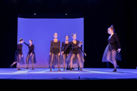 Območna revija plesnih skupin Finesa plesa 2023 (86)